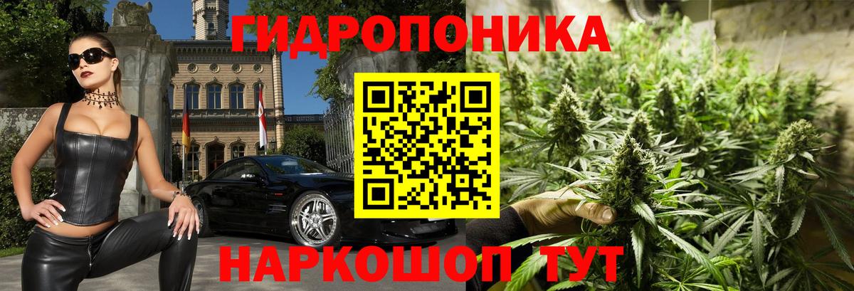 Канабис сатива Ахтубинск